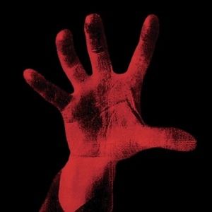 Meet your Posher, Riley